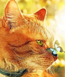 Aesthetic Cat With Butterfly On Nose Paint By Numbers
