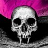 Aesthetic Vampire Skull Paint By Numbers