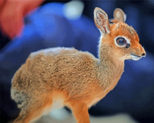 Baby Dik Dik Paint By Numbers