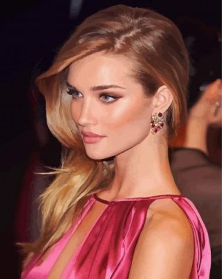 Beautiful Rosie Huntington Whiteley Paint By Numbers