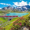 Bernina Express Train Swiss Paint By Numbers