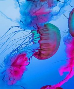 Blue And Purple Jellyfish Paint By Numbers