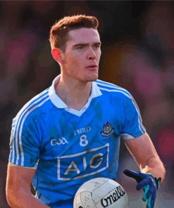 Brian Fenton Dublin Gaa Player Paint By Numbers