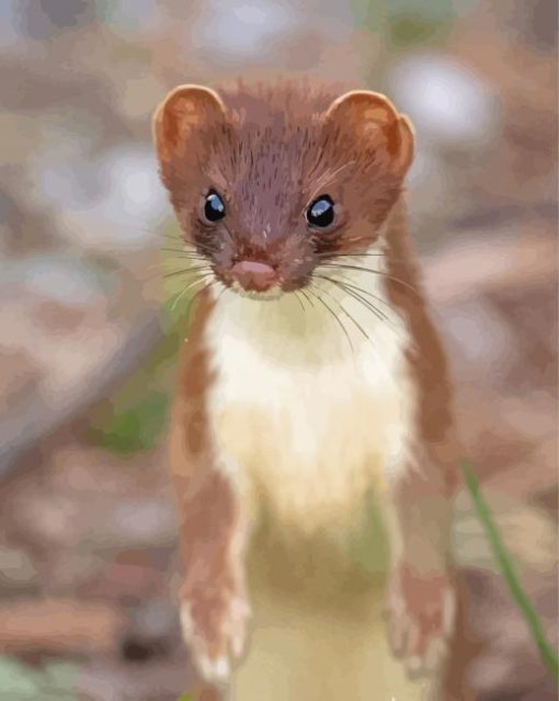 Brown Ermine Paint By Numbers