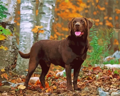 Chocolate Lab Pet Paint By Numbers