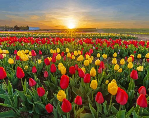 Colorful Tulips In Field Paint By Numbers