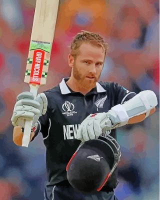 Cool Kane Williamson Paint By Numbers