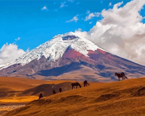 Cotopaxi Paint By Numbers