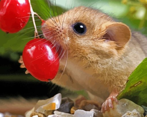 Dormouse Eating Berries Paint By Numbers