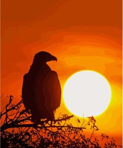 Eagle And Sunrise Paint By Numbers