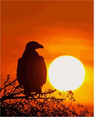 Eagle And Sunrise Paint By Numbers