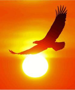 Eagle Sunrise Silhouette Paint By Numbers