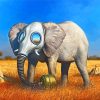 Elephant By Kush Paint By Numbers