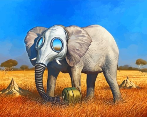 Elephant By Kush Paint By Numbers