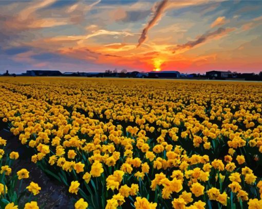 Field Of Daffodils At Sunset Paint By Numbers