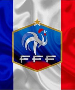 France Soccer Logo Paint By Numbers