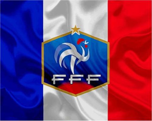 France Soccer Logo Paint By Numbers