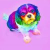 Little Colorful Puppy Paint By Numbers