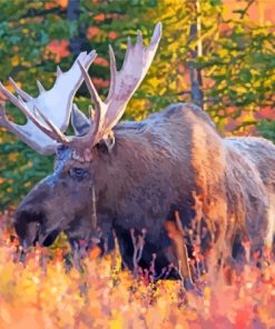 Moose Wildlife Animal Paint By Numbers