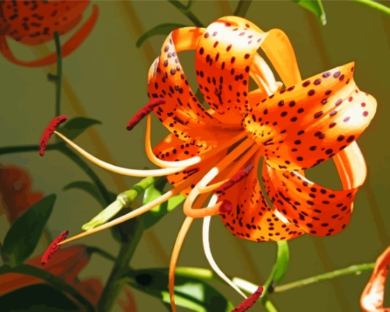 Orange Tiger Flower Paint By Numbers
