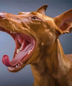 Pharaoh Hound With Open Mouth Paint By Numbers