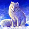 Polar Fox Paint By Numbers