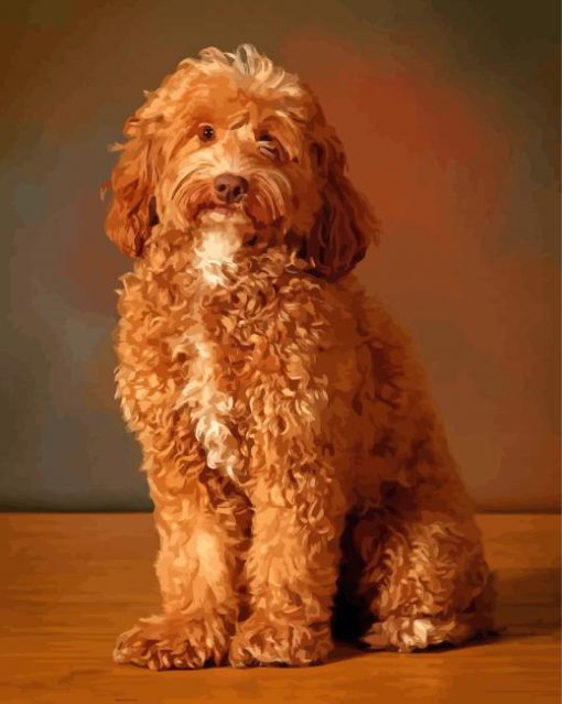 Red Chocolate Labradoodle Paint By Numbers