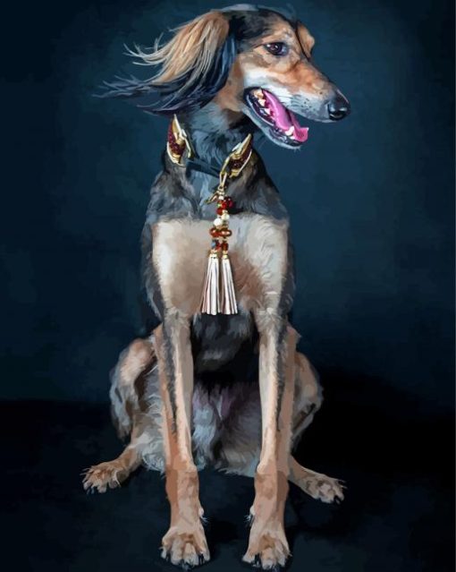 Saluki Dog Paint By Numbers