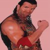 Scott Hall Professional Wrestler Paint By Numbers