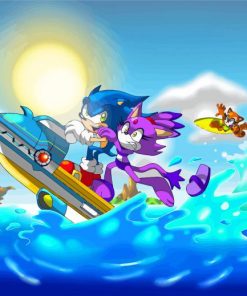 Sonic Rush Adventure Paint By Numbers