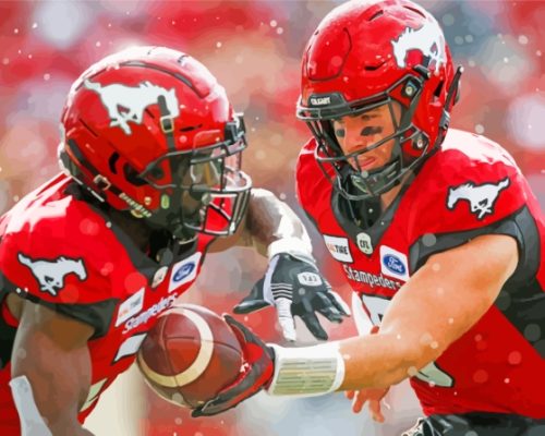 Stampeders Football Players Paint By Numbers