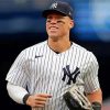 The Baseball Player Aaron Judge Paint By Numbers