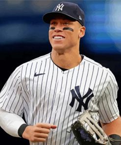 The Baseball Player Aaron Judge Paint By Numbers