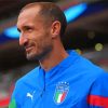 The Football Player Chiellini Giorgio Paint By Numbers