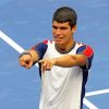 The Tennis Player Player Alcaraz Paint By Numbers
