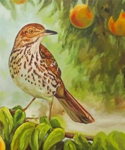 Thrasher Bird In Peach Tree Paint By Numbers