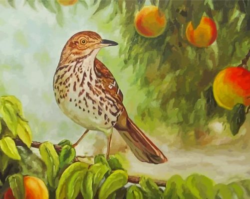 Thrasher Bird In Peach Tree Paint By Numbers