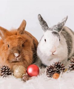 Two Rabbits With Christmas Decoration Paint By Numbers