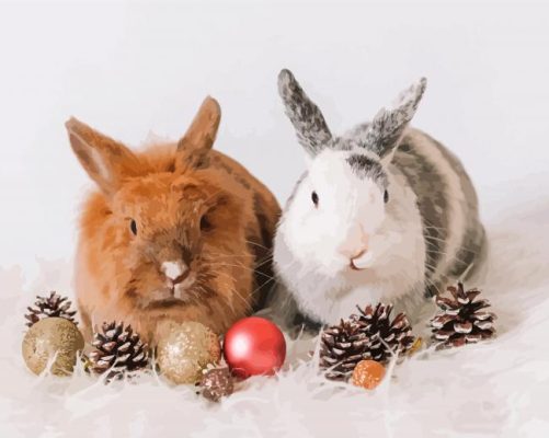 Two Rabbits With Christmas Decoration Paint By Numbers