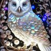 White Owl Paint By Numbers