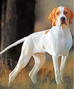 White Pointing Dog Paint By Numbers
