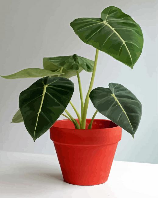 Alocasia Plant Pot Paint By Numbers