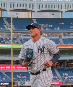 Anthony Rizzo At The Yankees Stadium Paint By Numbers