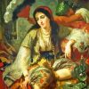 Arabian Odalisque Paint By Numbers
