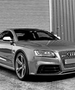 Black And White Audi S5 Car Paint By Numbers