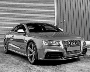 Black And White Audi S5 Car Paint By Numbers