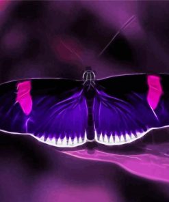 Black And Purple Butterfly Paint By Numbers
