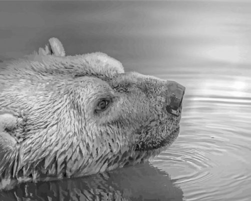 Black And White Bear Head In Water Paint By Numbers