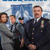 Blue Bloods Serie Paint By Numbers