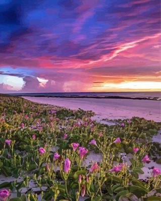 Broome Beach Flowers Paint By Numbers